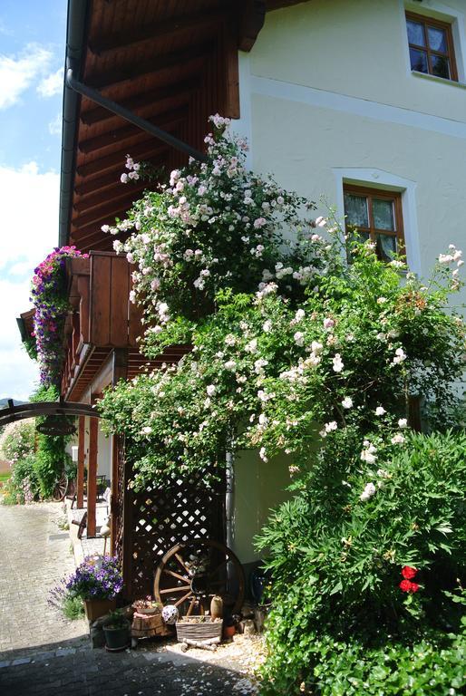 Haus Am Waldrand - Ferienwohnung Augustin Grafenau  Eksteriør billede